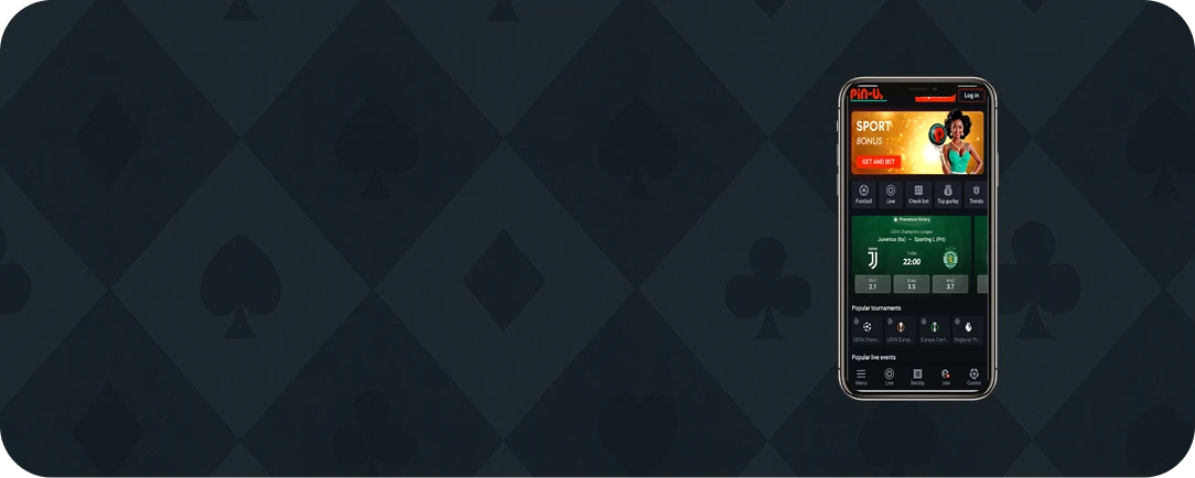 +120% bonus on Pin Up App deposit